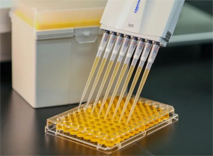 Cara milih tip pipette universal?